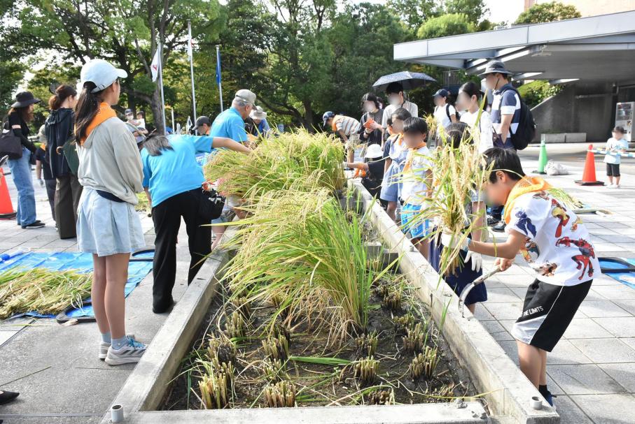 クリックで拡大