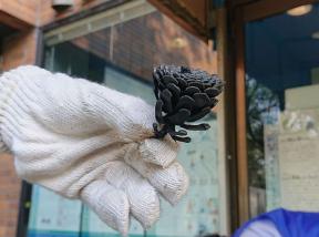 【親子教室】まっくろ！？炭焼き体験教室！