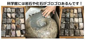 オンライン「岩石ごろごろ、はっくつだ！」