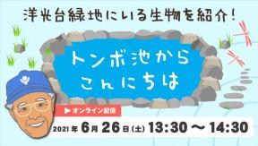 オンライン配信「トンボ池からこんにちは」