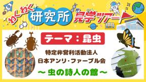 わくわく研究所見学ツアー「テーマ：昆虫」