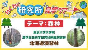 わくわく研究所見学ツアー「テーマ:森林」