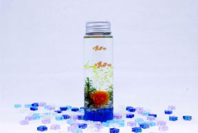 夏のハーバリウム