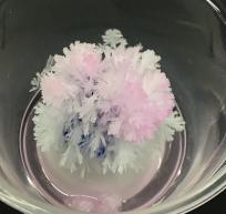 雪のような結晶ツリーをつくろう！