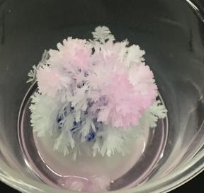 雪のような結晶ツリーをつくろう！