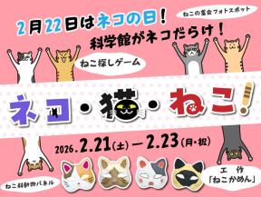 ネコ・猫・ねこ!