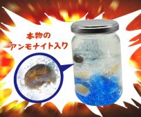 アンモナイトの古代アクアボトル