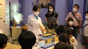 ミニ実験「うくの？しずむの？ 水パワー」