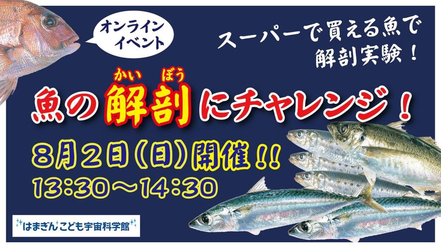 魚の解剖にチャレンジ！