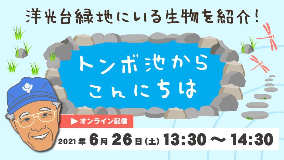 トンボ池からこんにちは
