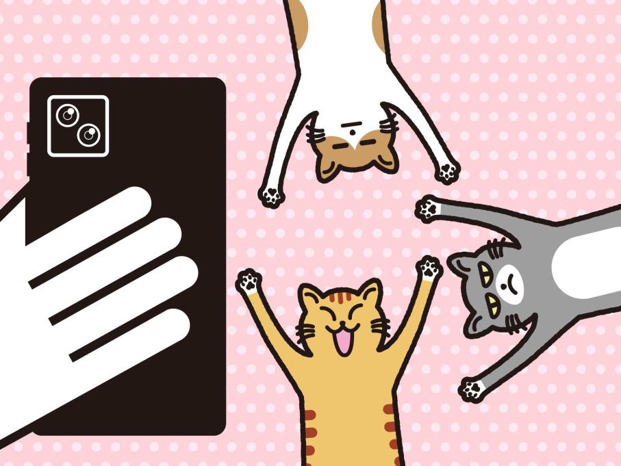 ねこ探しゲーム