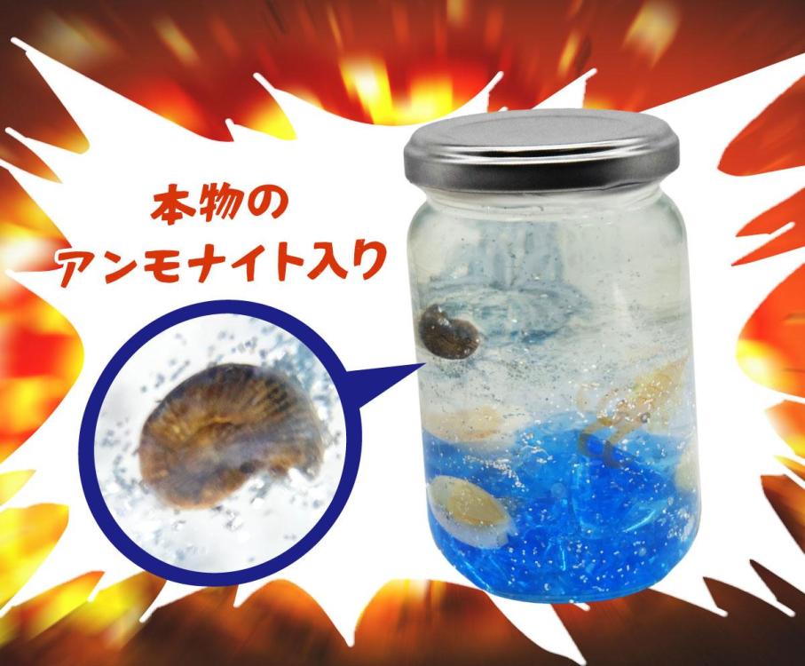 アンモナイトの古代アクアボトル