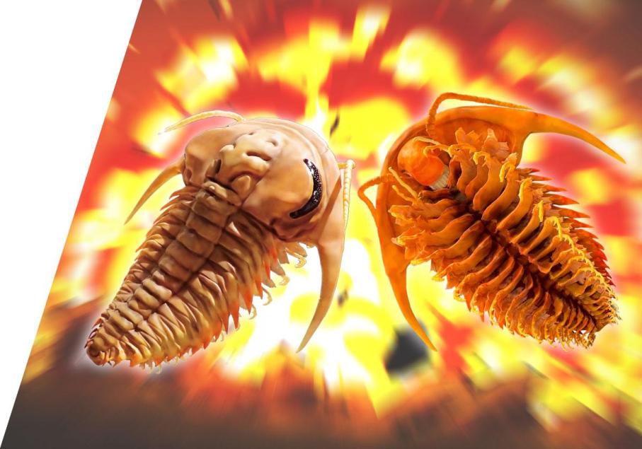 三葉虫模型と解説パネル