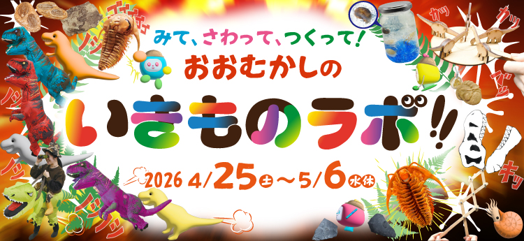 企画展
